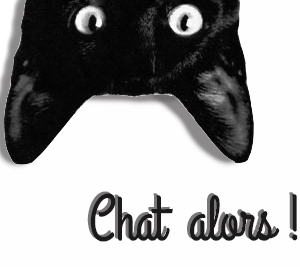 Pourquoi chats… ??